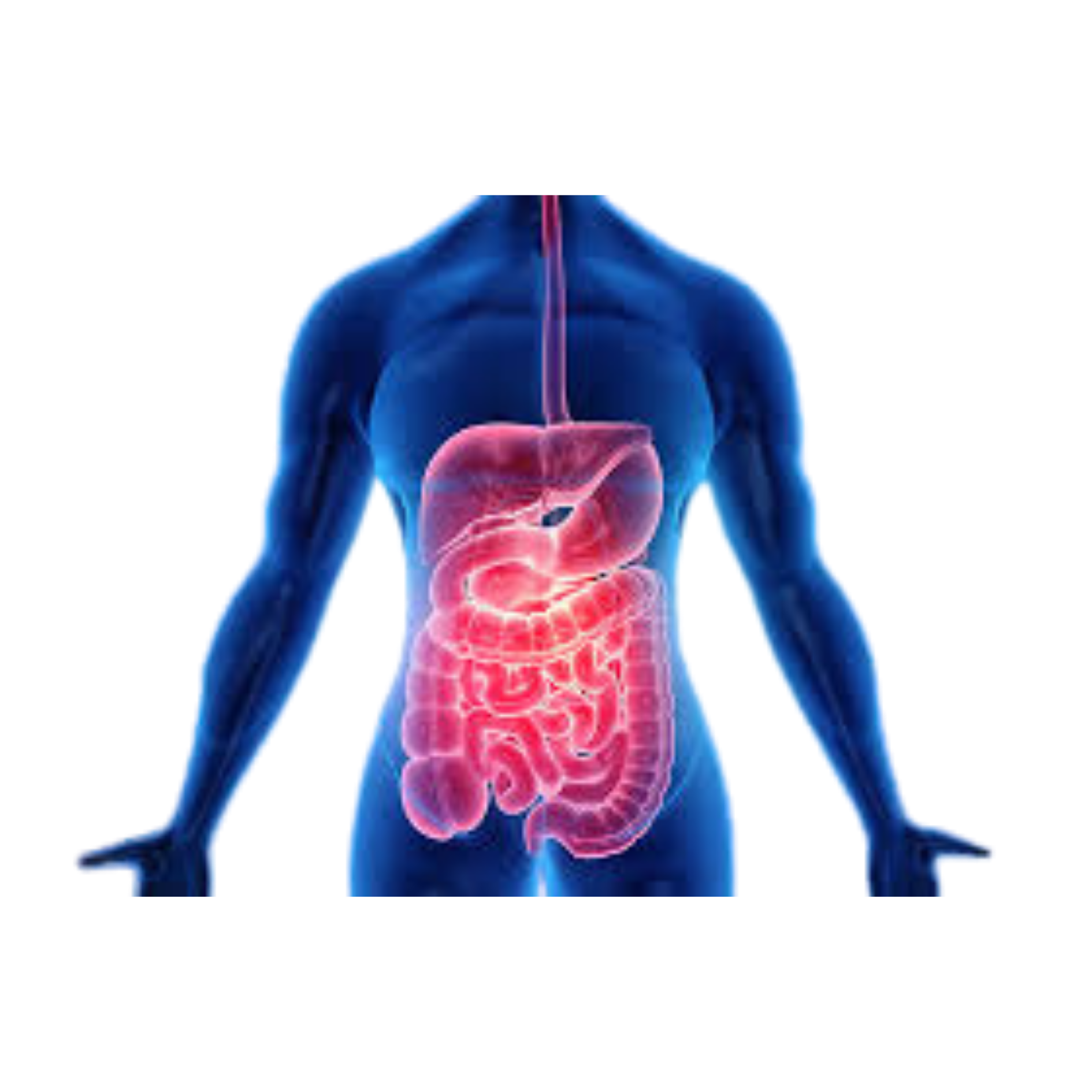 Rối loạn tiêu hóa (IBS – đại tràng co thắt)