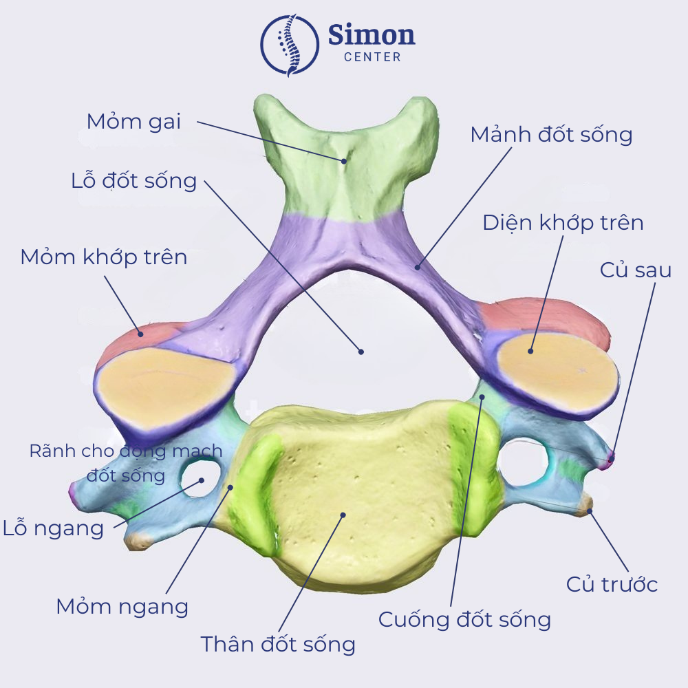 Nguyên nhân gây ra tình trạng đau cổ vai gáy
